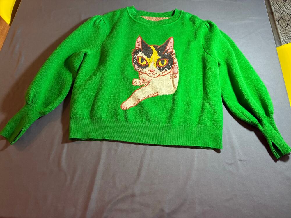 Cat Graphic Sweater Women’s Plus 3 Green Knit  Long Sleeve Cute Kitty